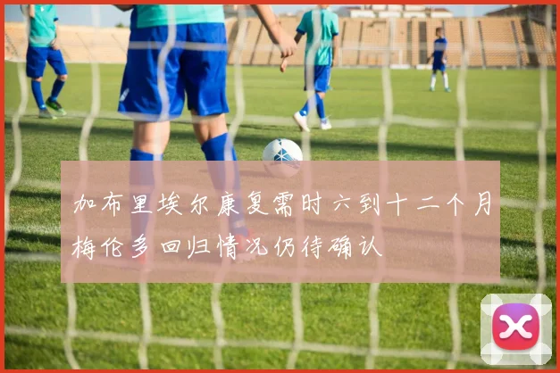 加布里埃尔康复需时六到十二个月梅伦多回归情况仍待确认